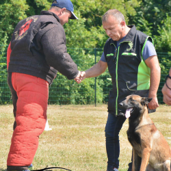 Denis barrat ring Denis barrat ring